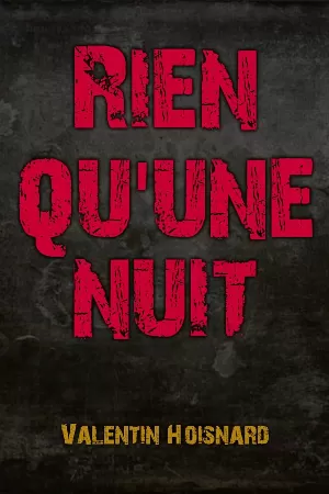 Rien qu'une nuit